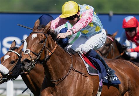 Ascot Gold Cup .